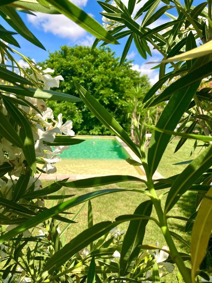 Le Patio, Chambres D Hotes Pour Adultes En Camargue, Possibilite De Naturisme A La Piscine, Aimargues Exterior foto